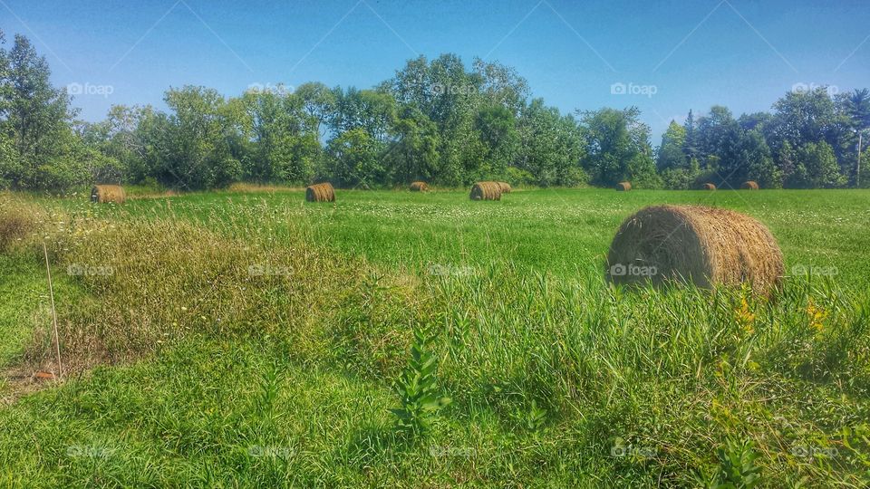 Rolling Hay Bales