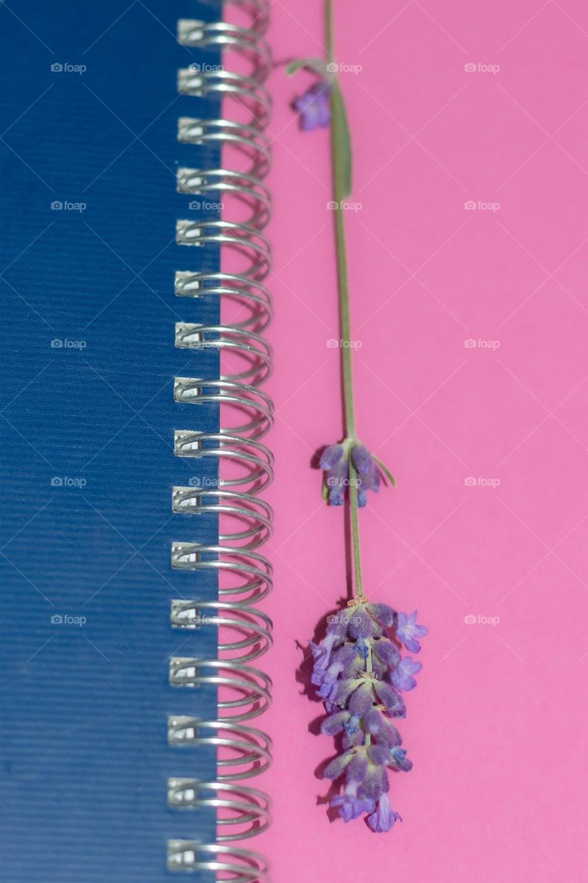 Purple lavender flower on notebook 