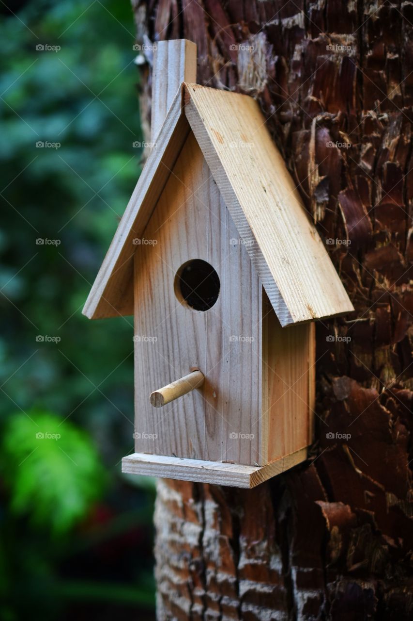 Birdhouse 