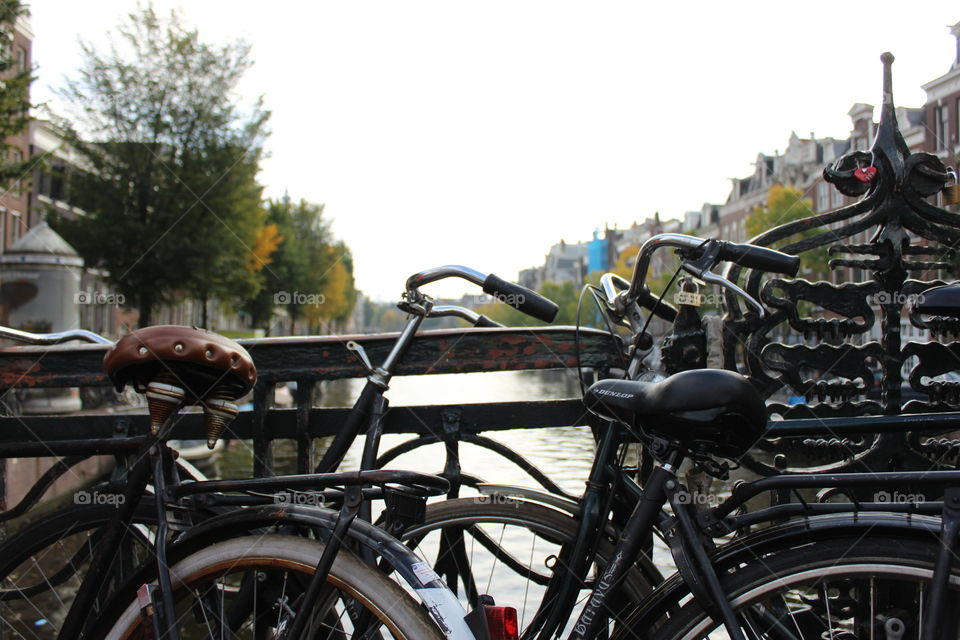 Bicycles from Amsterdam.