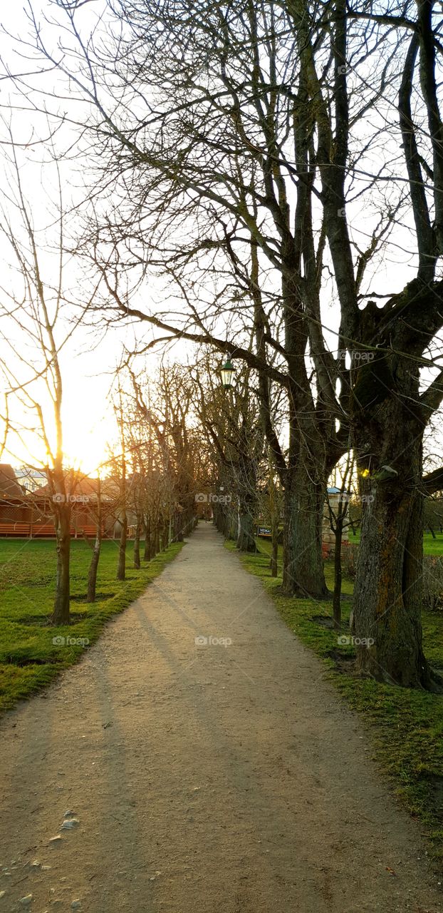 Mother nature and its beautiful view