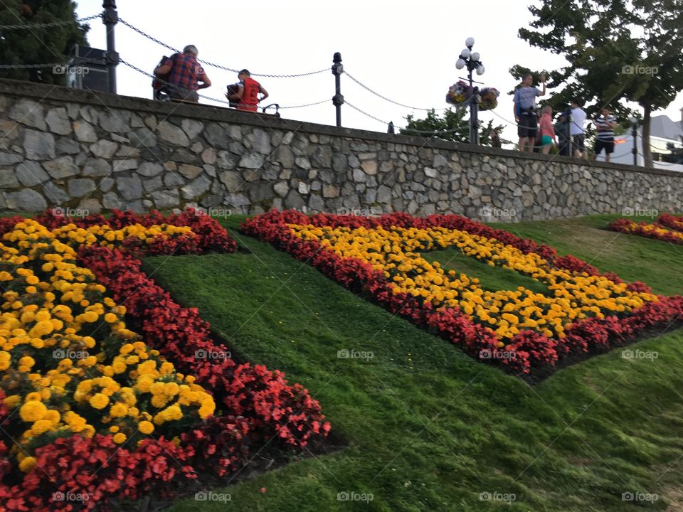 Flowers by the harbour