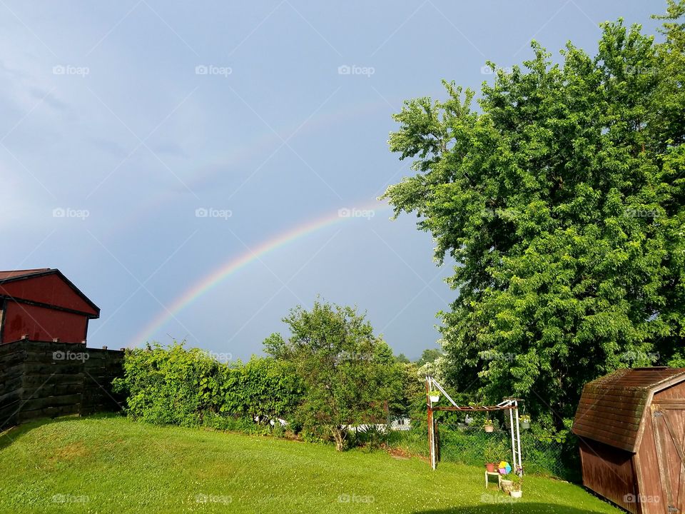 rainbow in the backyard