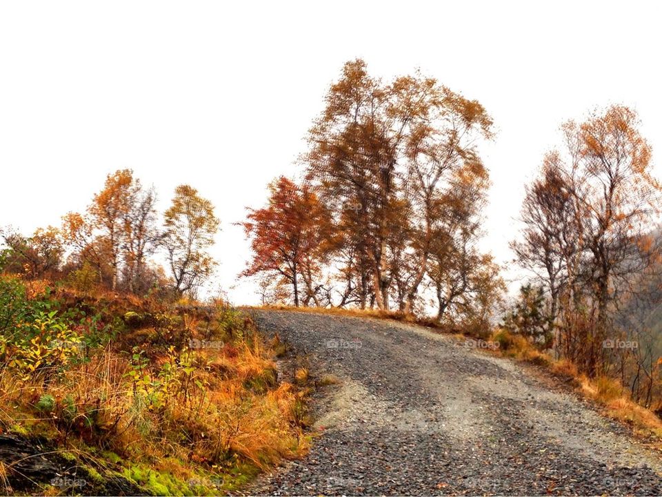Country road in autumn with bright background