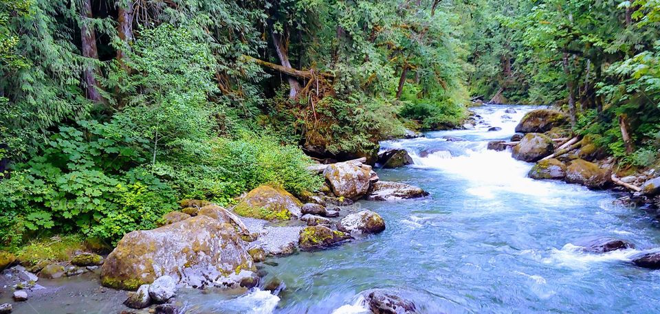 picture from a bridge over the water .beautiful nature