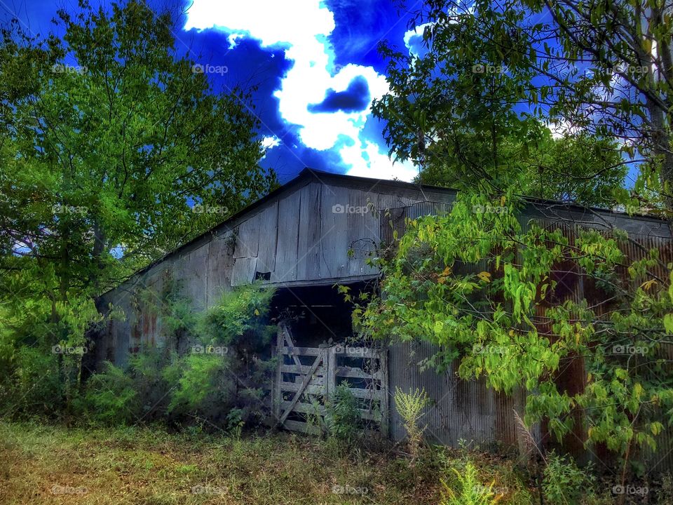 Lonely she dresses up in colorful clothes anyway...