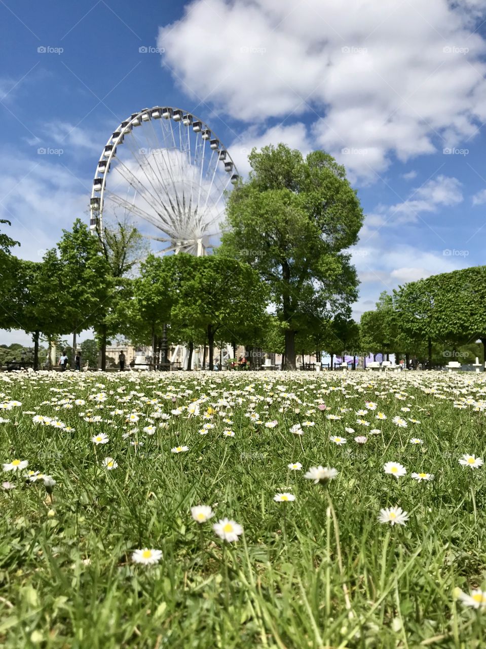 Discovering Paris