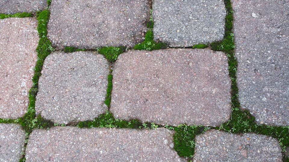 pavers