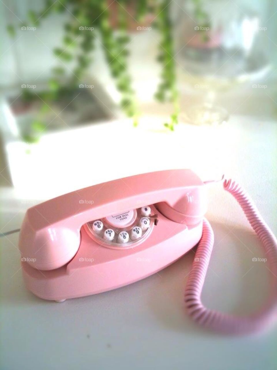 Telephone pink