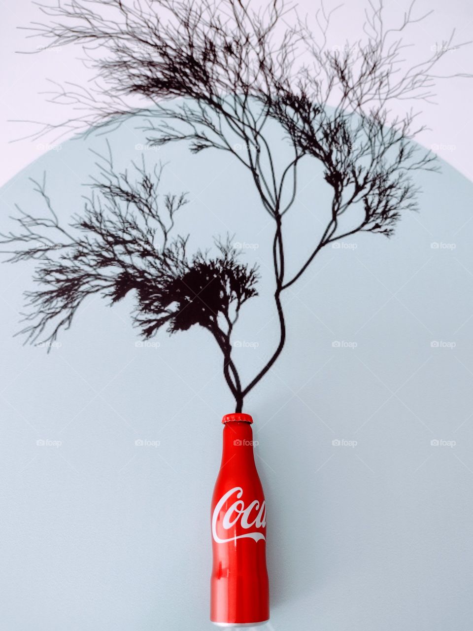 Idéia que cola com Coca-Cola: plantar!