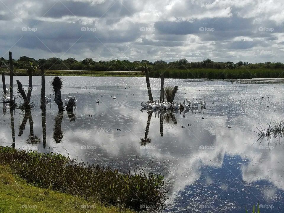Clouds reflected on water