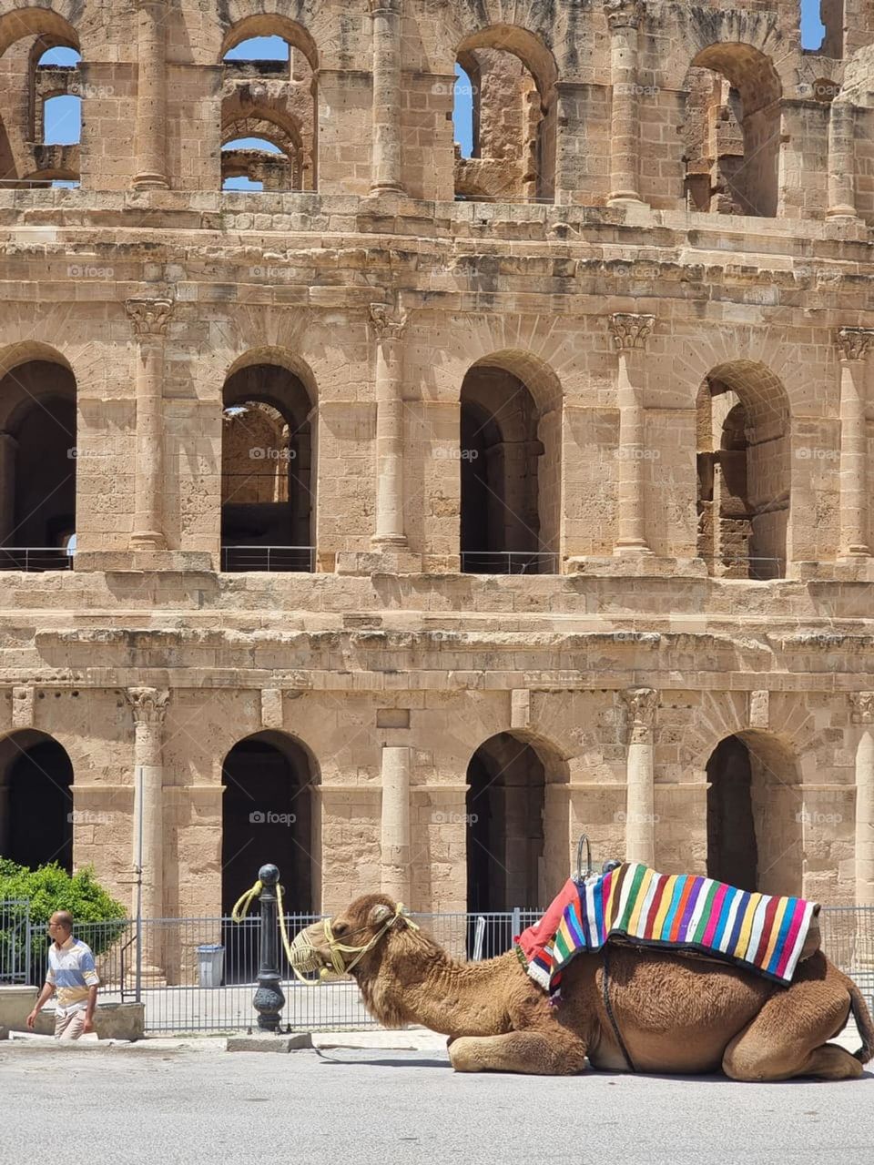 the old castel of tunisia