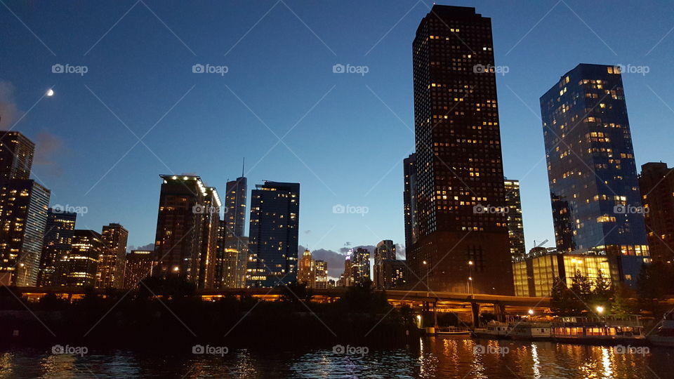 chicago nights