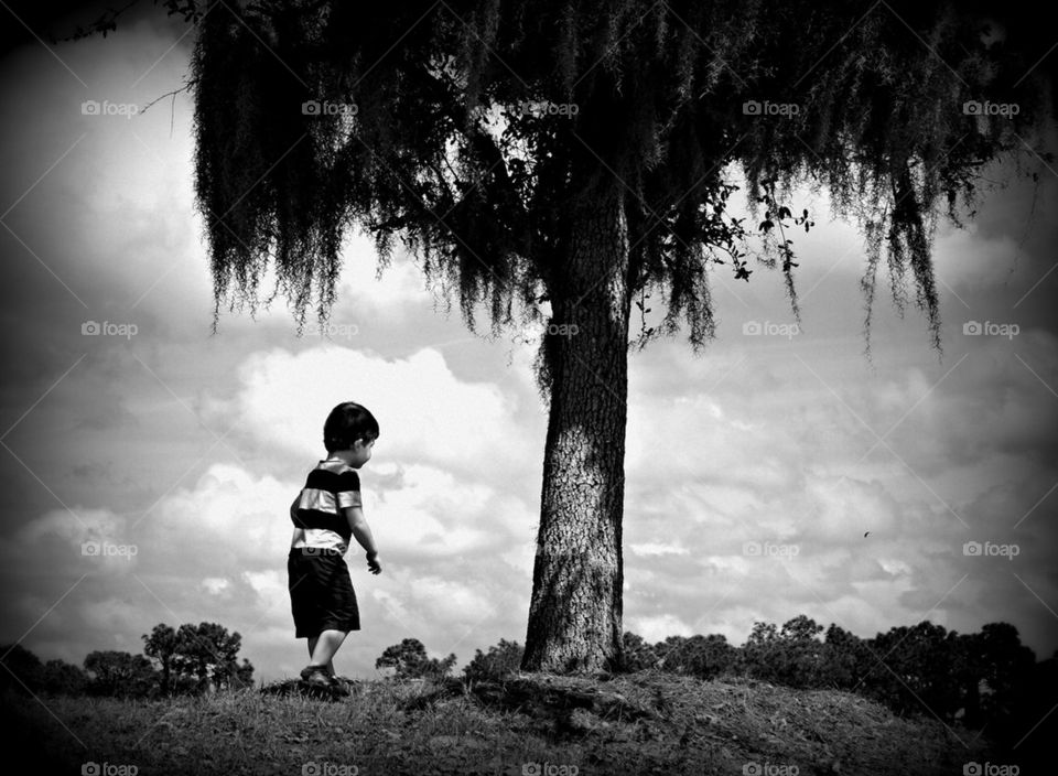 The boy and the tree