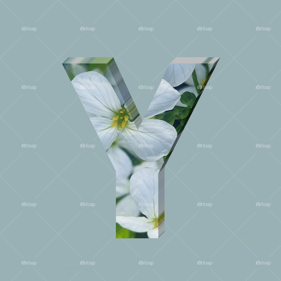 Y alphabet 3d rendering of vertical white flowers alphabet