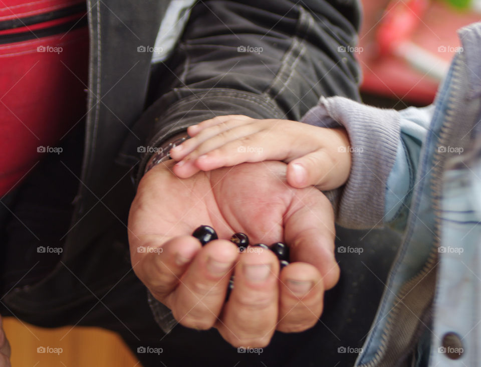 Berries in the hands