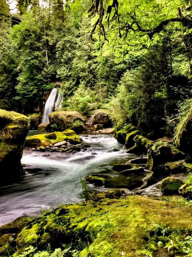 Hidden Paradise 