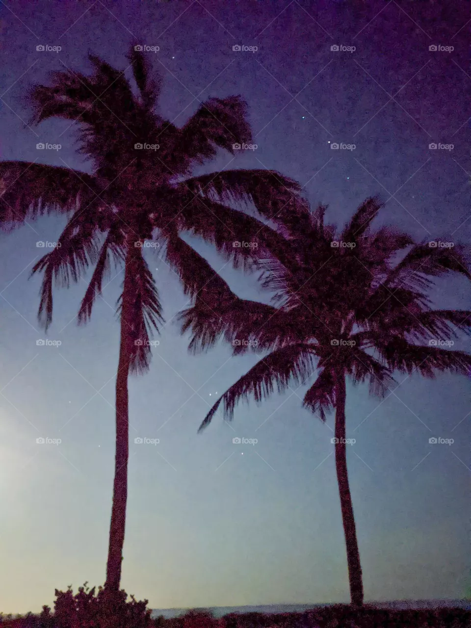 A beautiful night on the beach 🏖️