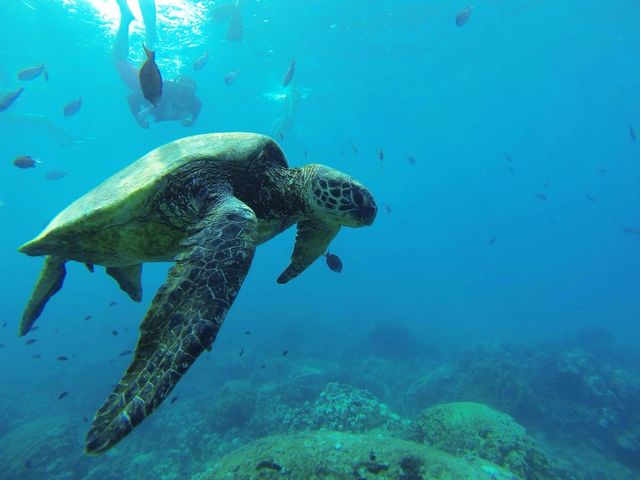 underwater