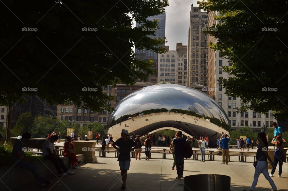 Chicago bean 