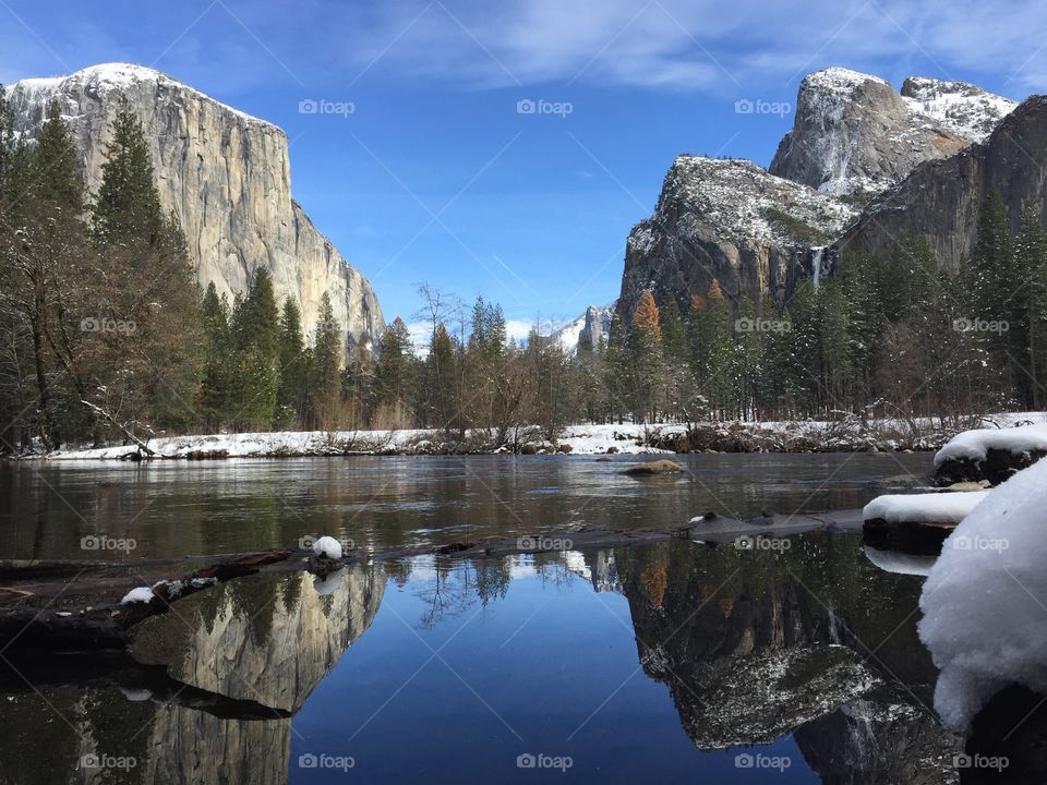 Yosemite Spring