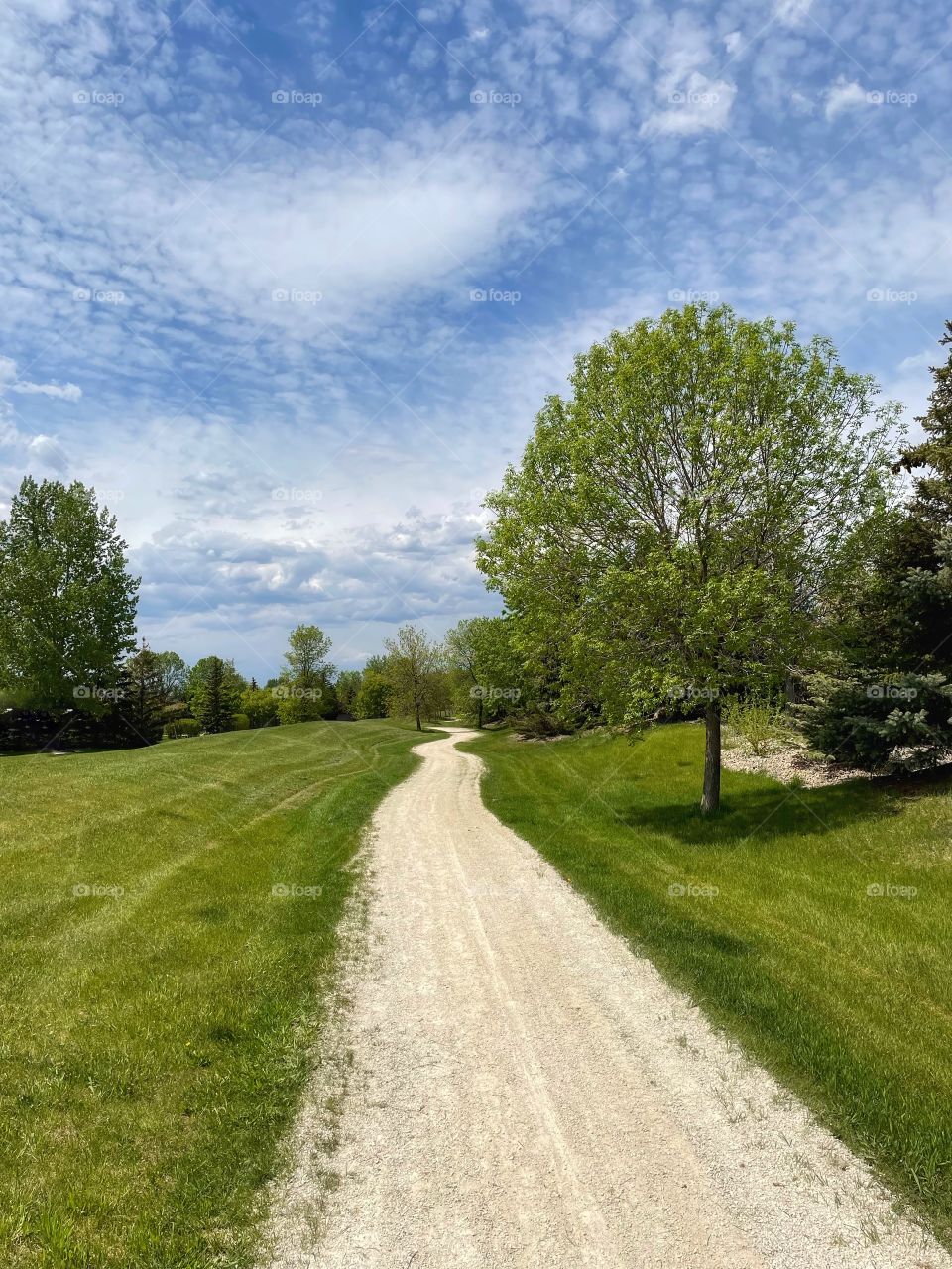 Nature trail