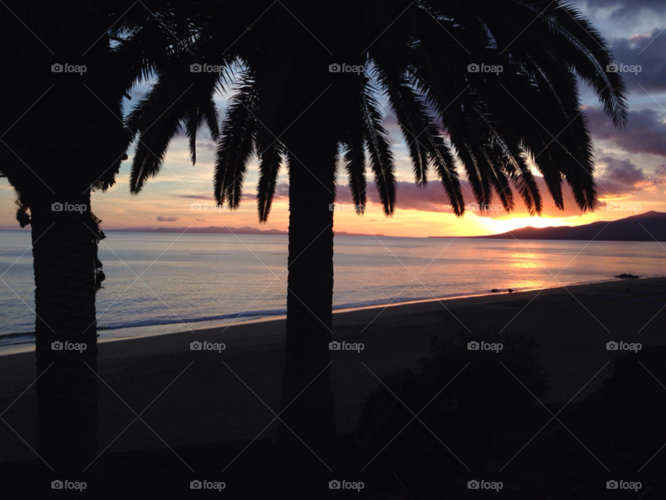beach sunset palms lanzarote by sevgilimm
