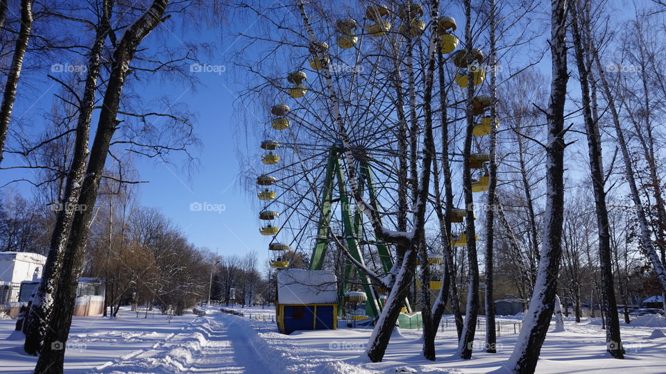 Ferris wheel and bare trees in the park in winter