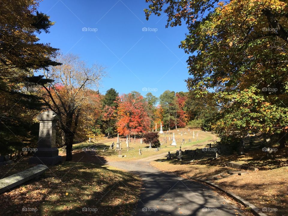 Cemetery in the fall