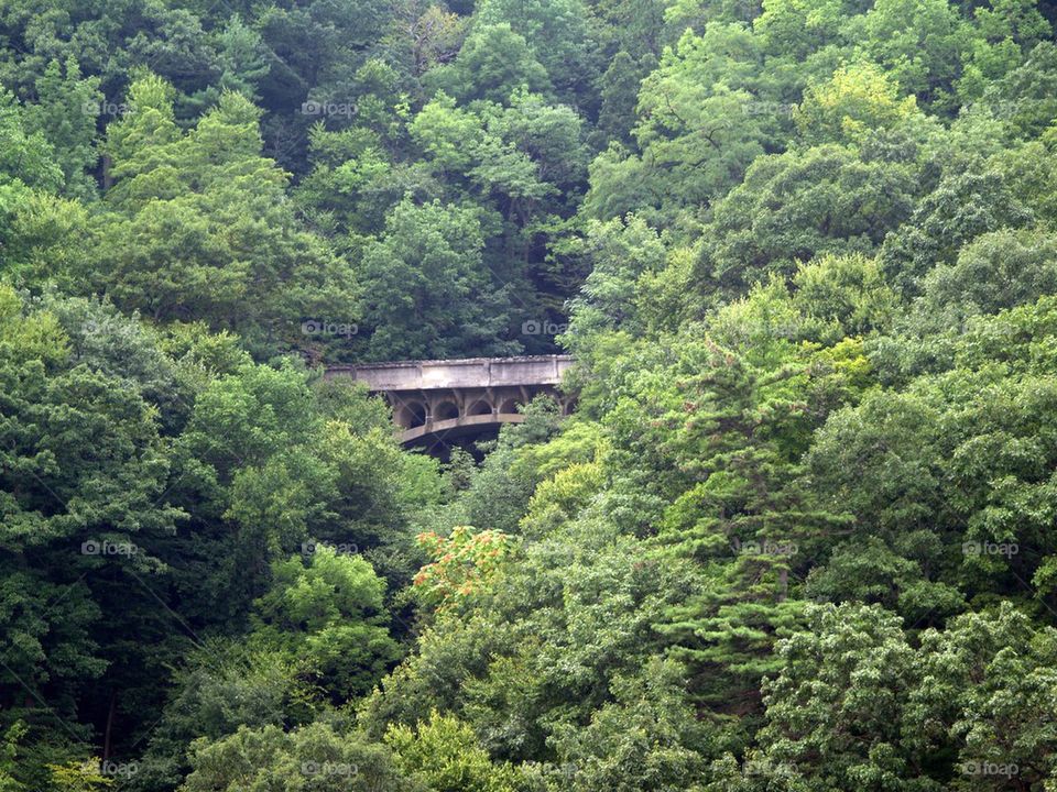 Stone Bridge