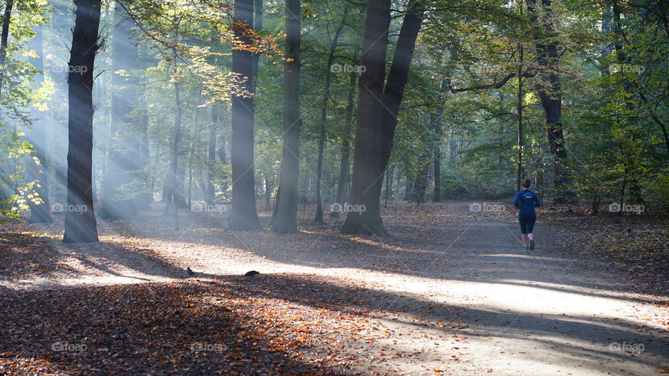 Morning in a park in Antwerp