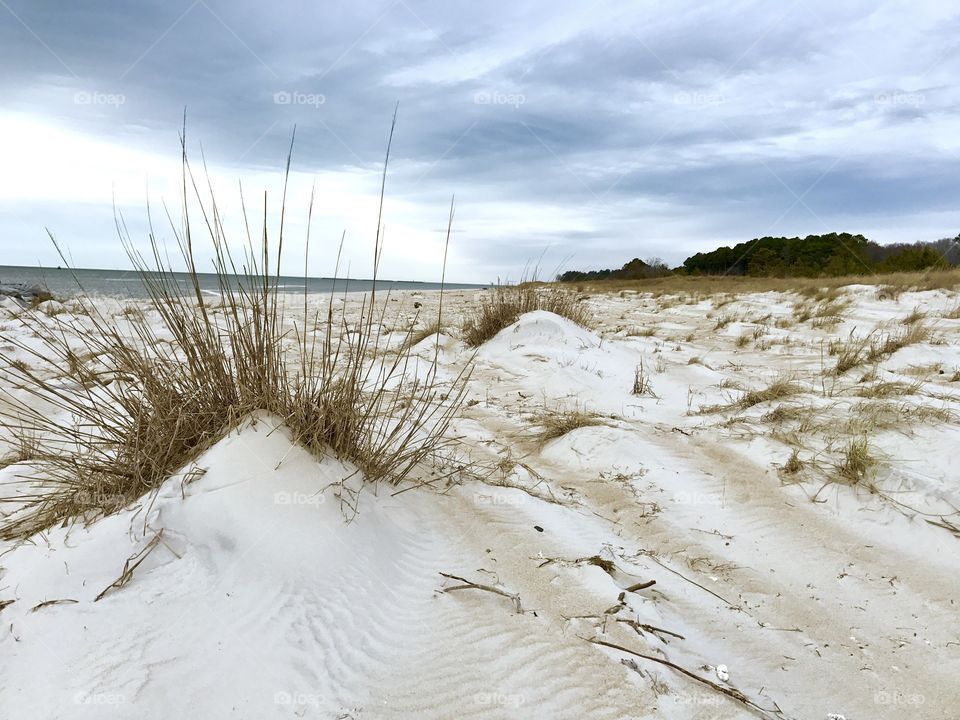 Sand Dune & Sea Grass