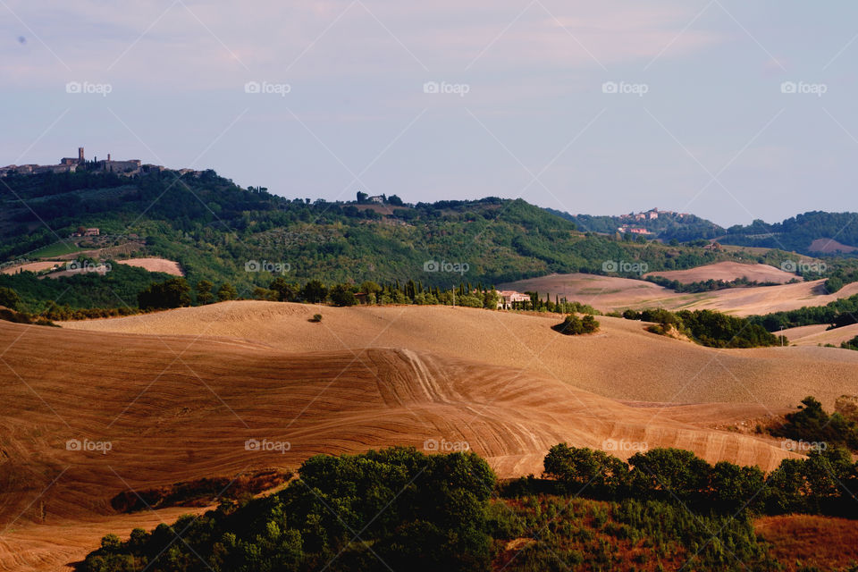 landscape in Toscana 