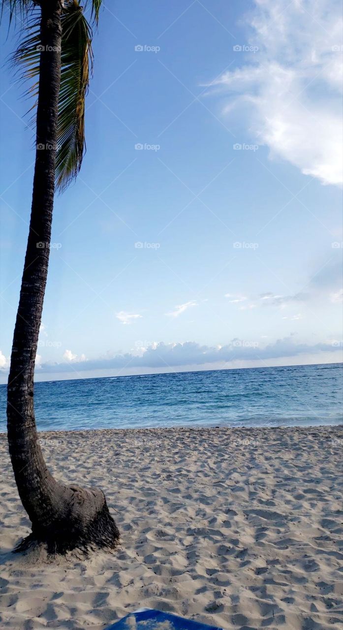 Punta Cana beach 🌊