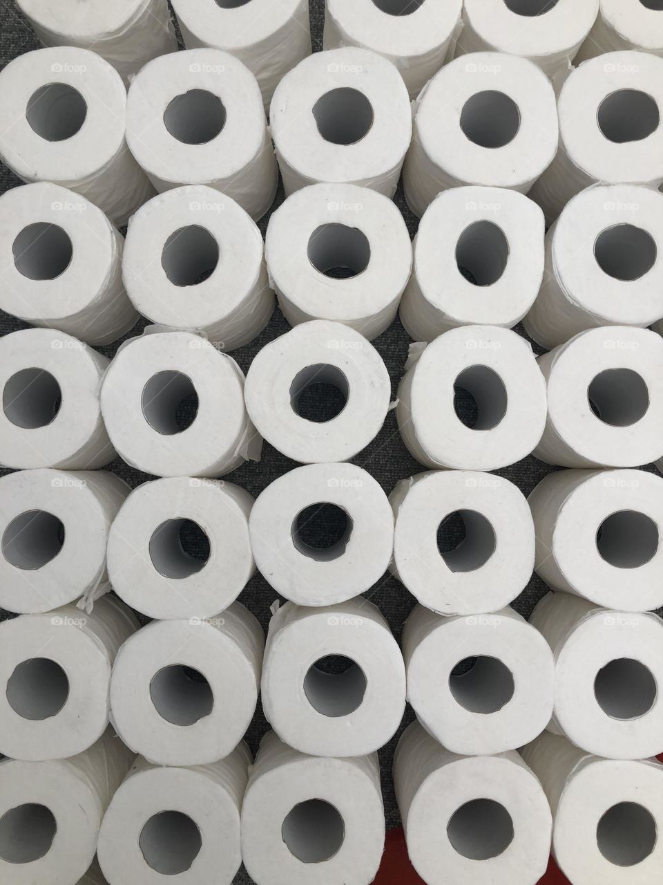 Toilet paper rolls