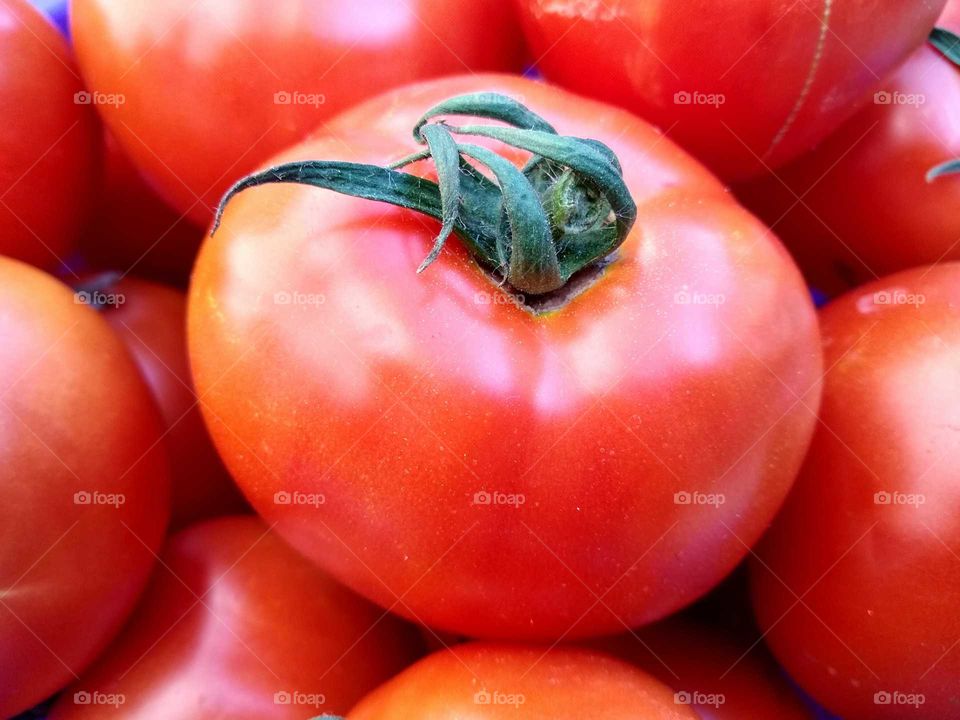 fresh tomatoes