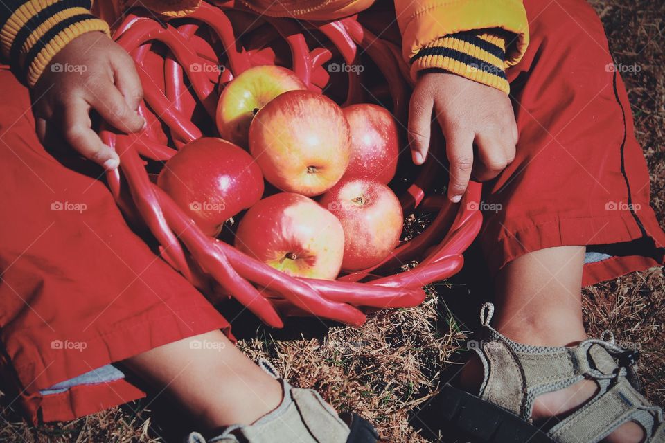 Kid holding basket of apples 