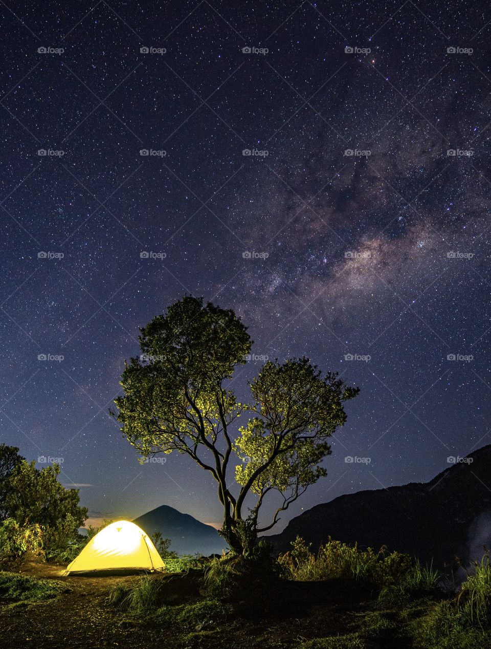 Trees can be the best protection if we can understand them. Don't let the trees die, because he gave us life.