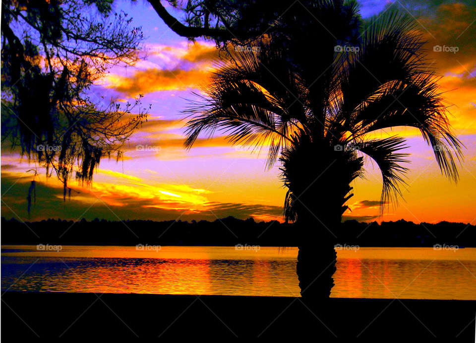 When the sun sets it creates blazing colors of pink, orange,burning reds purples, and golden yellows. One can only describe the sunset as incredibly beautiful.