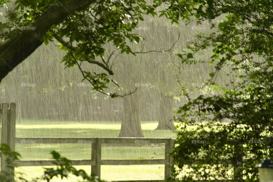 Raining On a sunny day