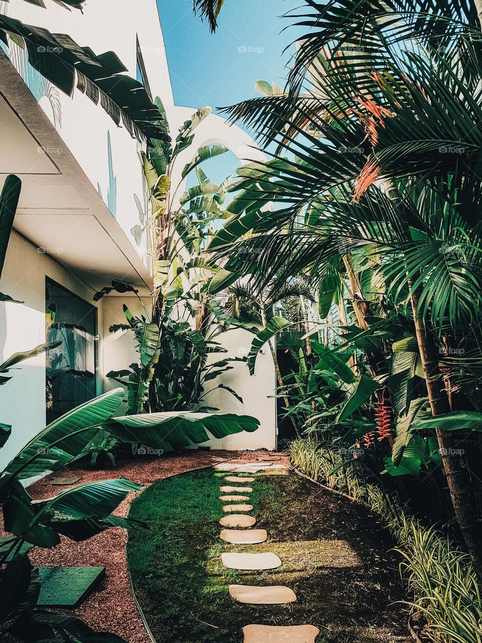 Urban plants mission| Plants | Garden 