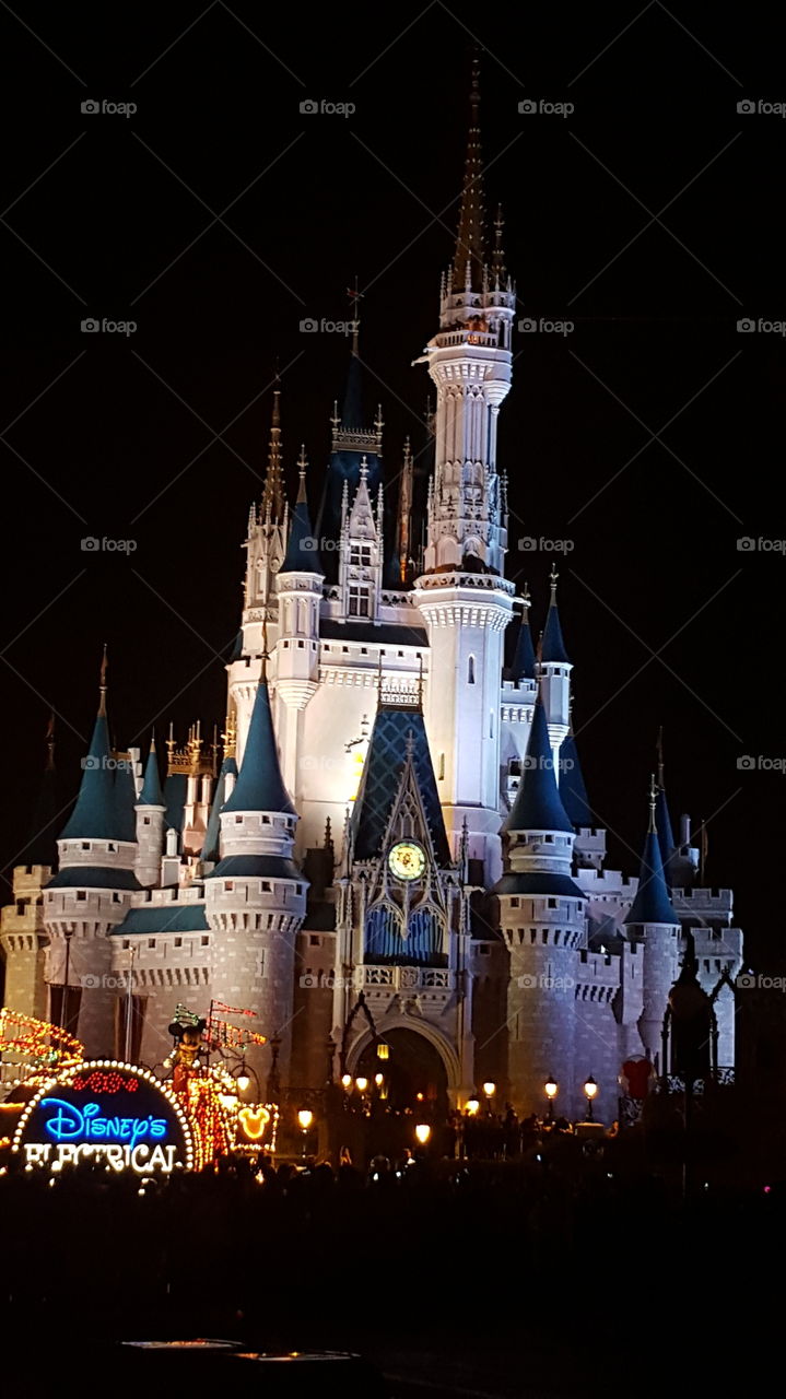Cinderella Castle at night.