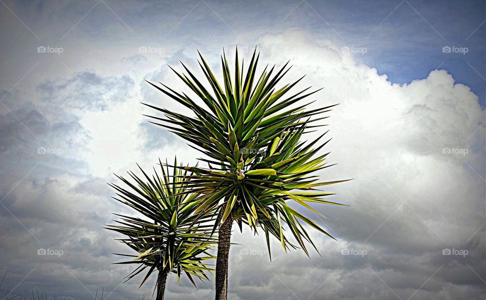 Like fireworks in the Sky 