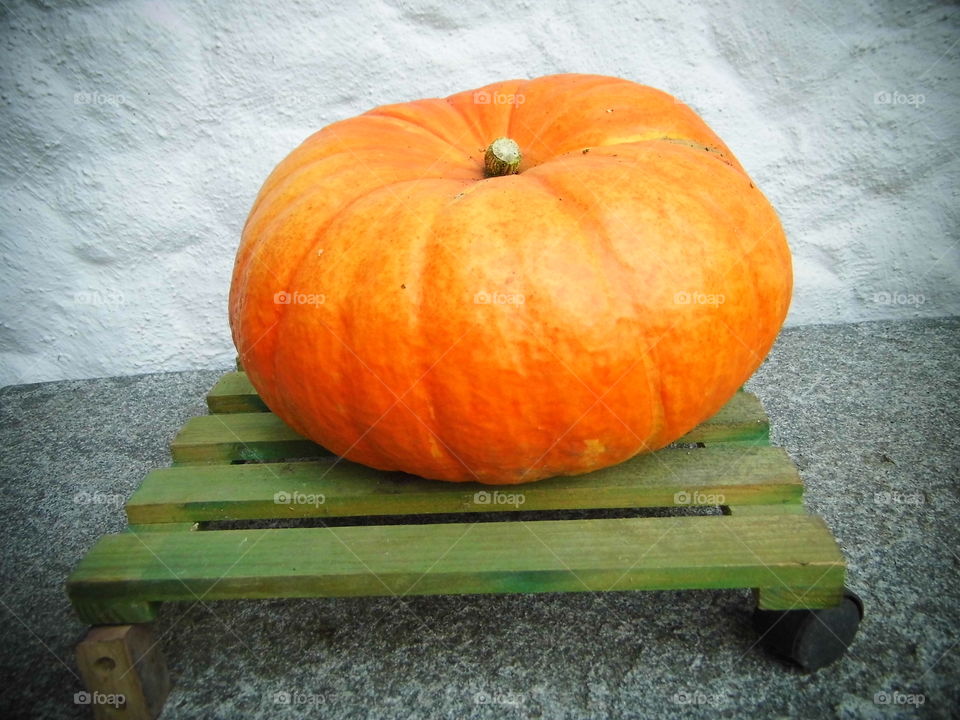 pumpkin
