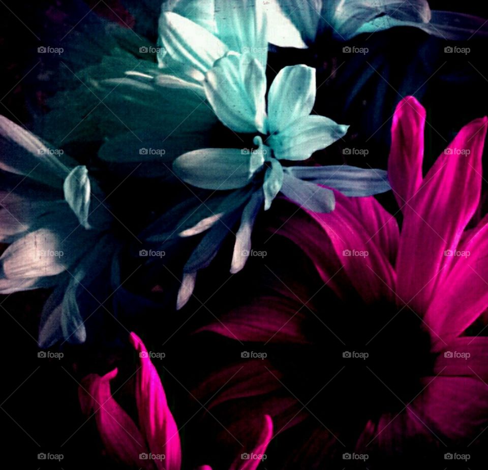 pretty. lighting effects