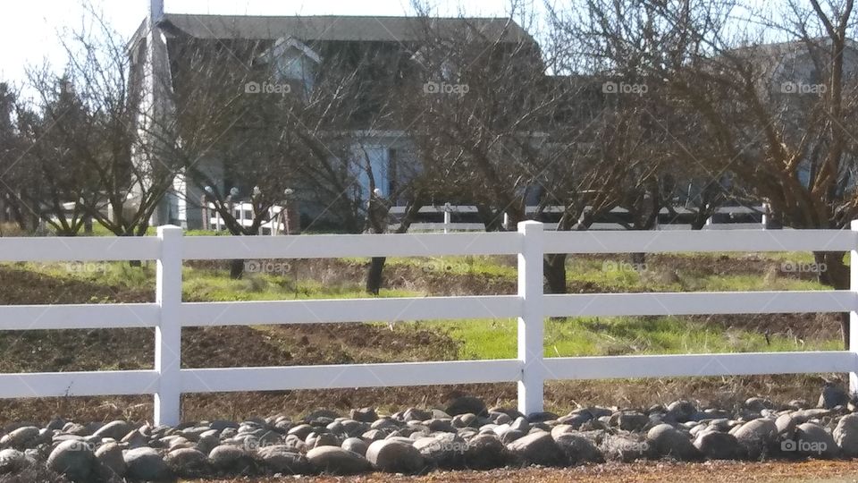 Fences keeps things safe