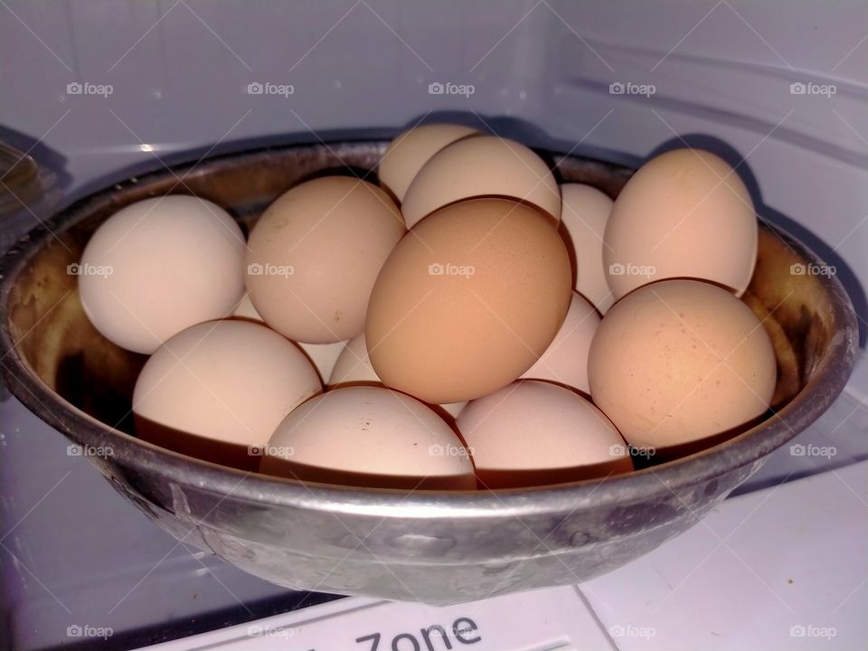 eggs