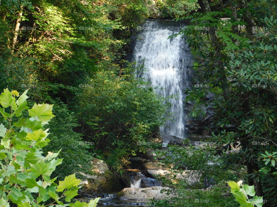 waterfall in forest with rocks and vegetation