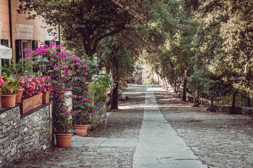 View of footpath