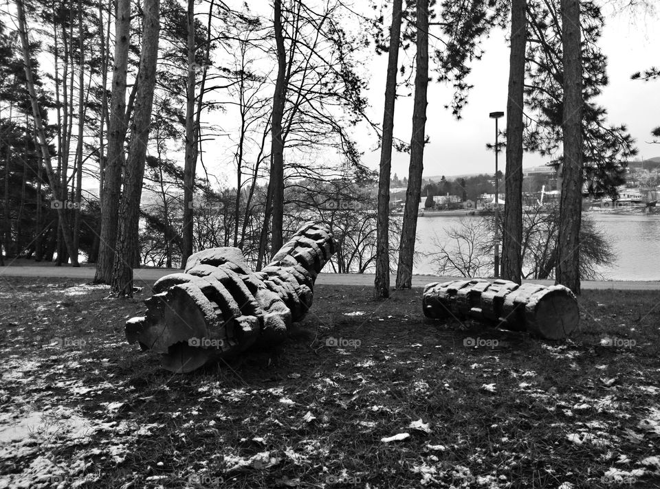 Tronchi d'albergo intagliati nel bosco